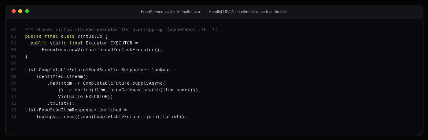 FoodService.scan overlapping USDA lookups on VirtualIo executor